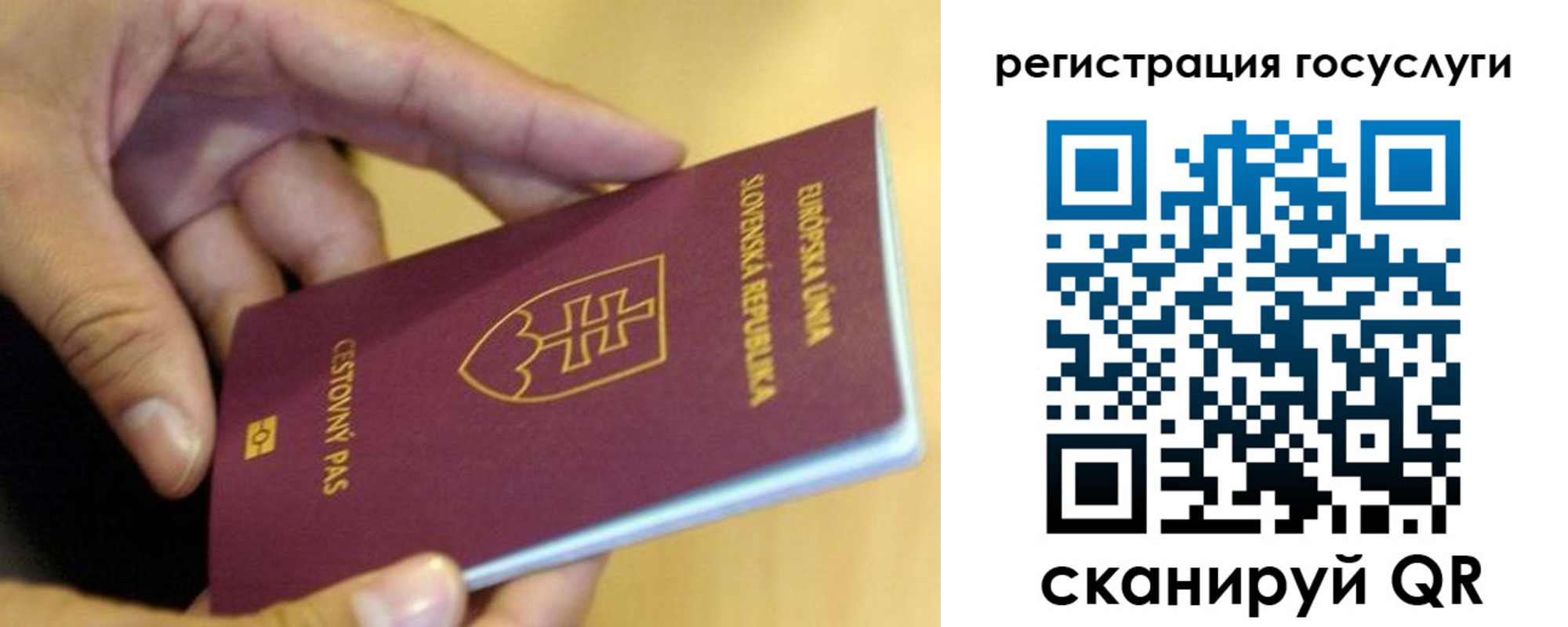 прописка в квартире в Котово